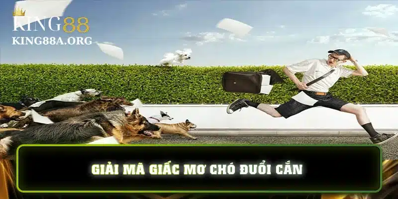 Giải mã giấc mơ thấy bị chó đuổi cắn