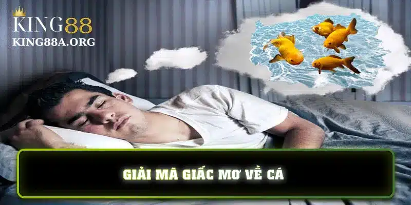 Giải mã giấc mơ lô đề thấy cá