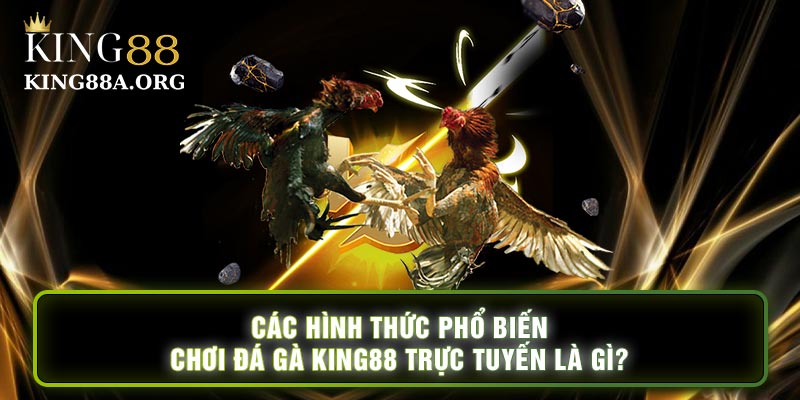 Các hình thức phổ biến chơi đá gà king88 trực tuyến là gì?
