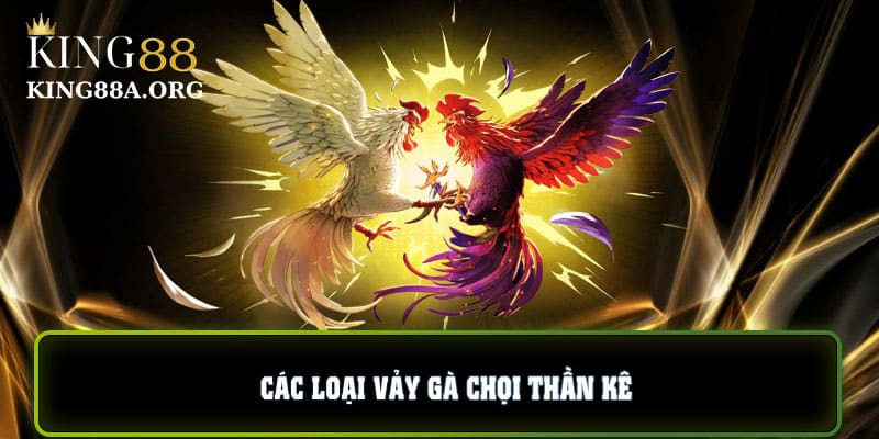 Các loại vảy gà chọi thần kê