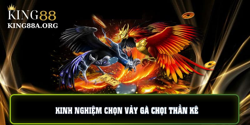 Kinh nghiệm chọn vảy gà chọi thần kê