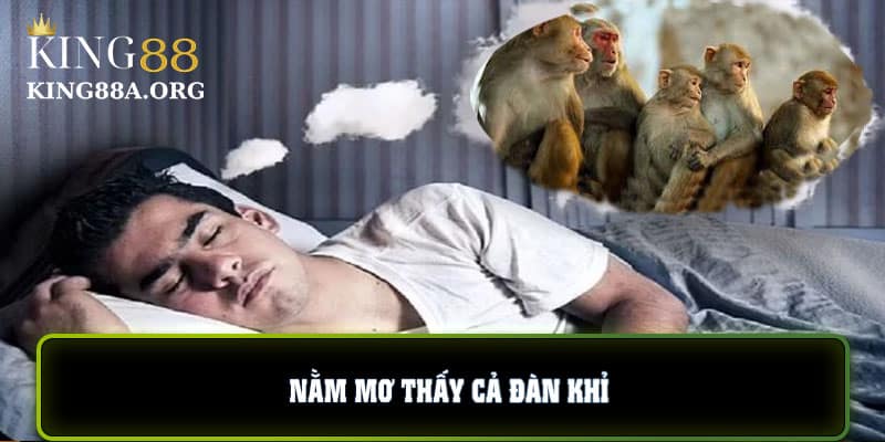 Giải mã nằm mơ thấy cả đàn khỉ